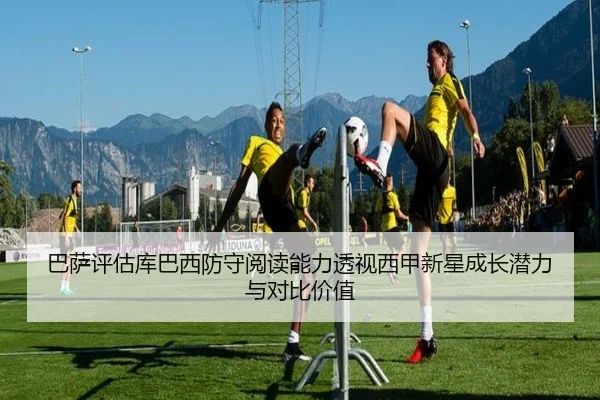 ba-sa-ping-gu-ku-ba-xi-fang-shou-yue-du-neng-li-tou-shi-xi-jia-xin-xing-cheng-zhang-qian-li-yu-dui-bi-jia-zhi-3-514.jpg