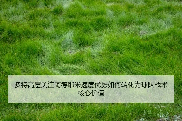 多特高层关注阿德耶米速度优势如何转化为球队战术核心价值
